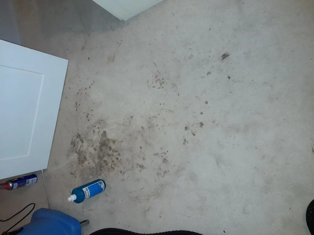 Living room carpet before professional cleaning showing dirt in Ewell Surrey
