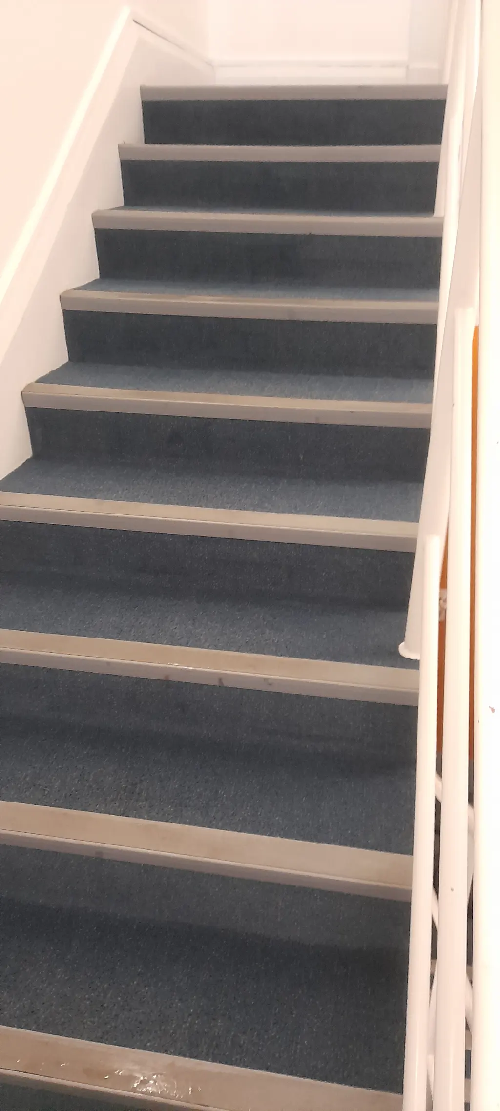 Commercial staircase carpet hygienically cleaned in Epsom Surrey